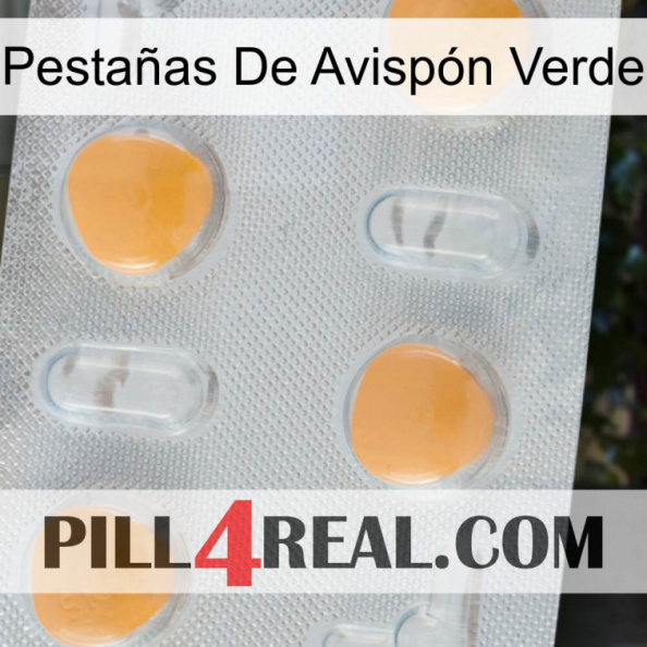 Pestañas De Avispón Verde 24.jpg